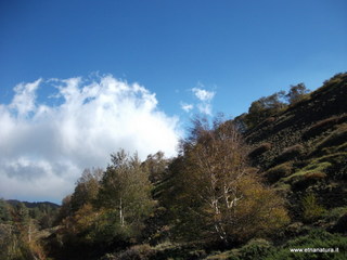 rrente Quarantore-01-11-2012 11-00-19